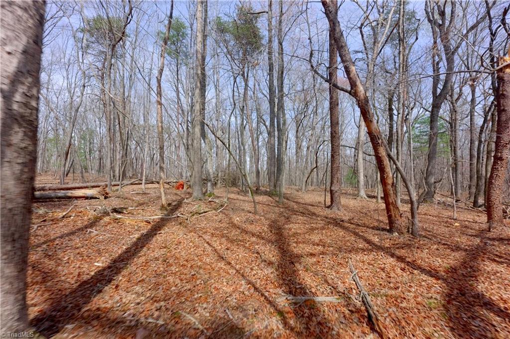 0 Johnson Farm Road # 2 Property Photo 10