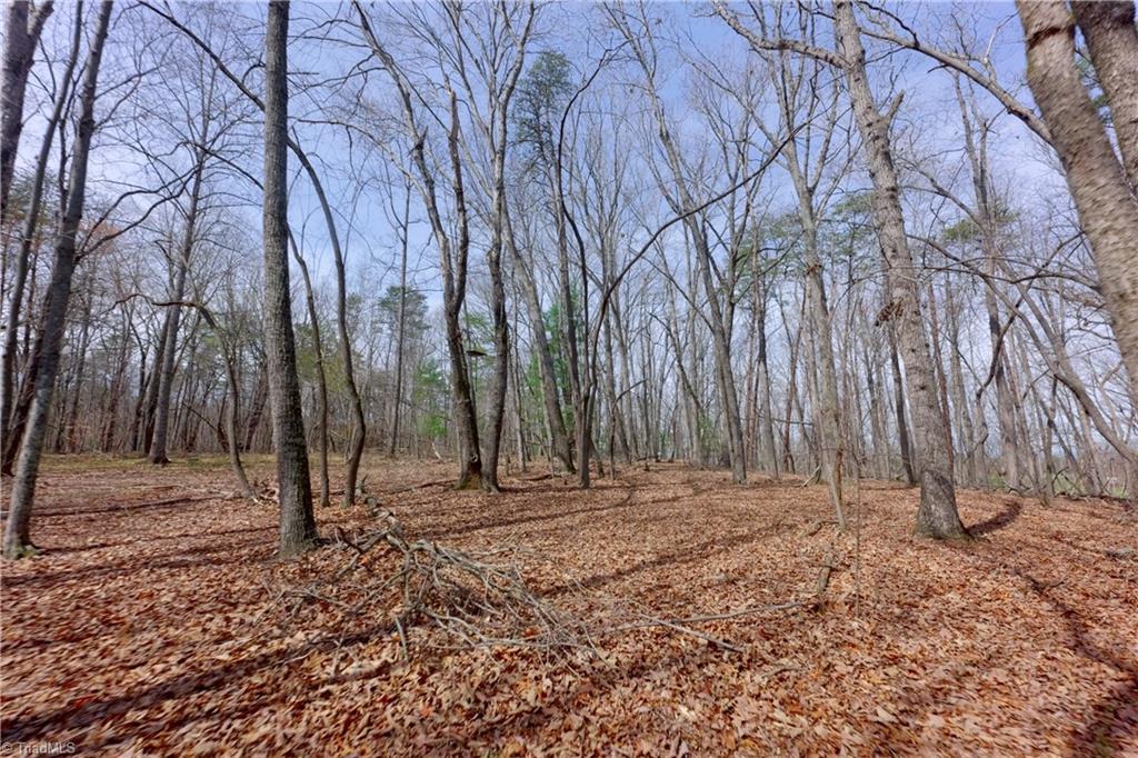 0 Johnson Farm Road # 2 Property Photo 11