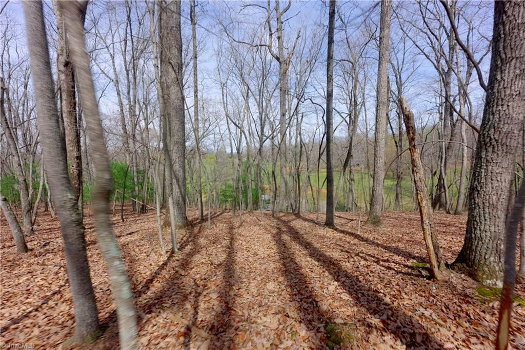 0 Johnson Farm Road # 2 Property Photo 12