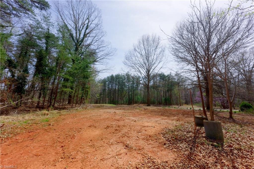 0 Johnson Farm Road # 2 Property Photo 16