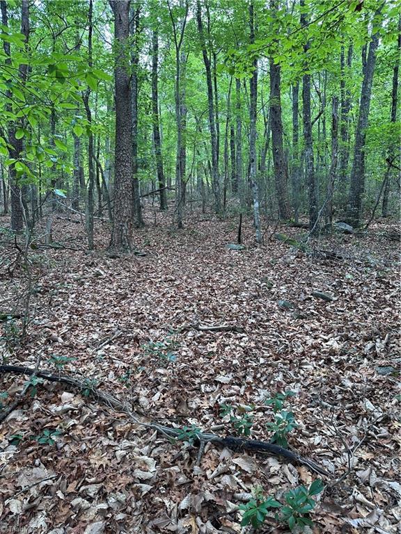 1070 Elm Street Property Photo 1