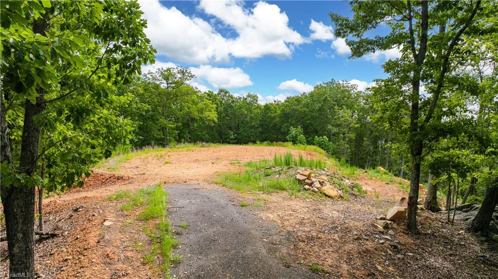 0 Fawn Drive Property Photo 15