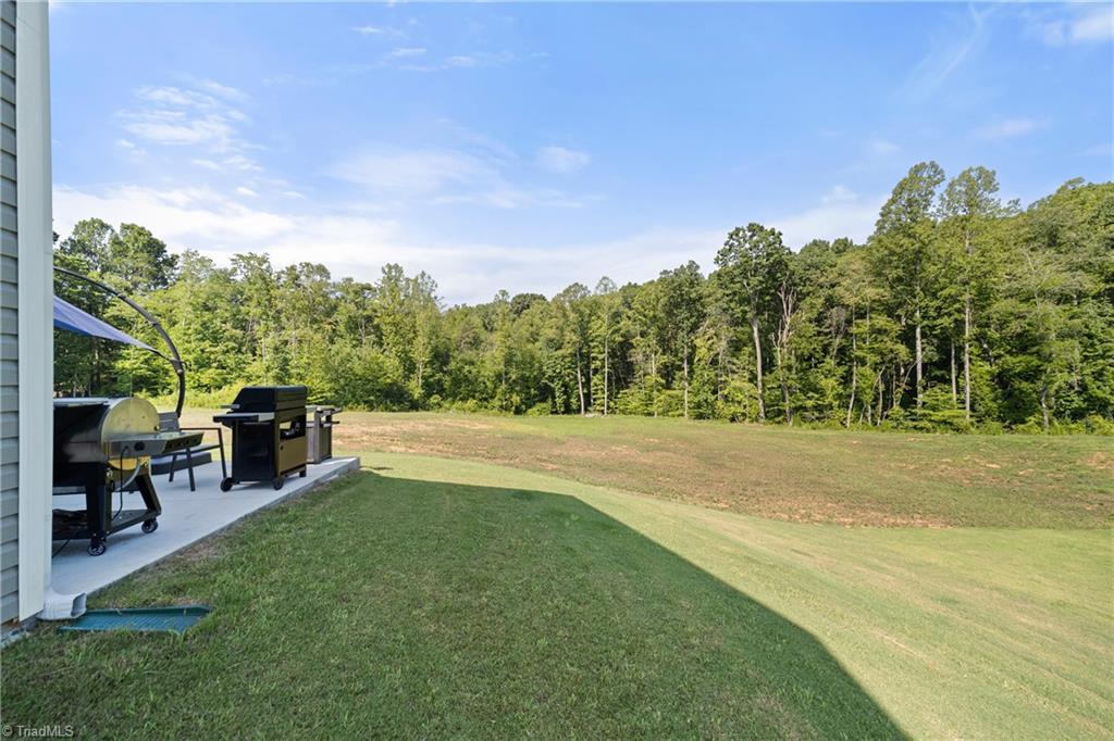 173 Nova Lane Property Photo 37