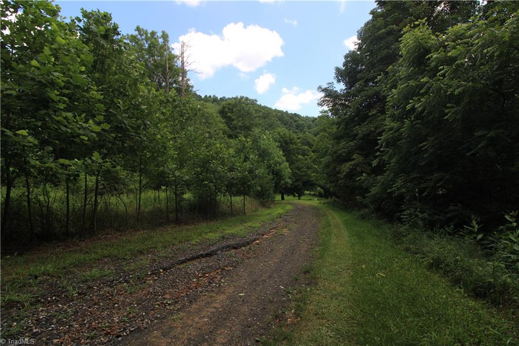 Tbd Spencer Branch Road Property Photo 7