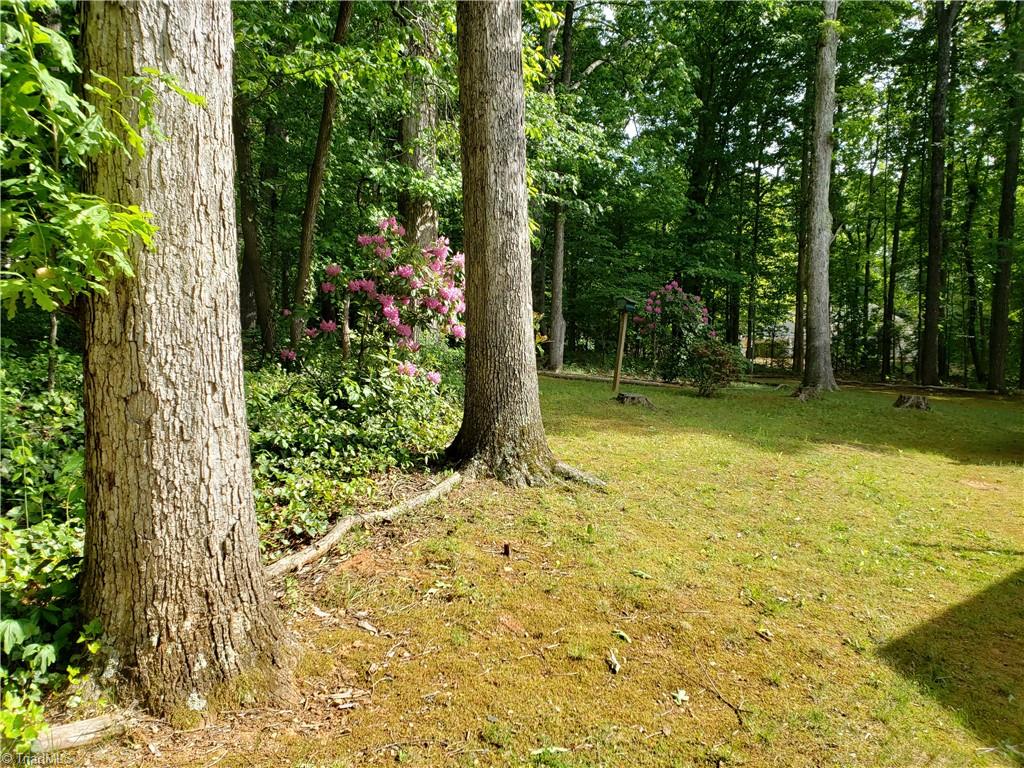 3800 Velinda Drive Property Photo 3