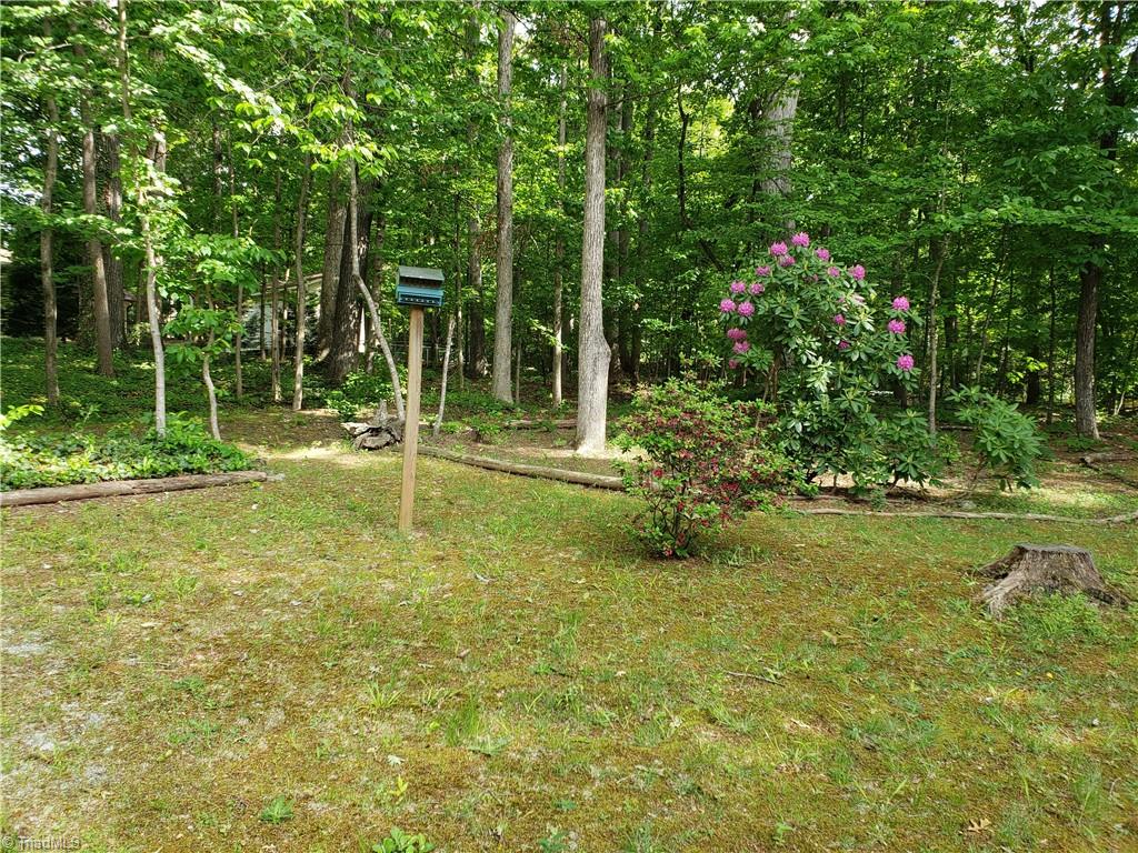 3800 Velinda Drive Property Photo 6