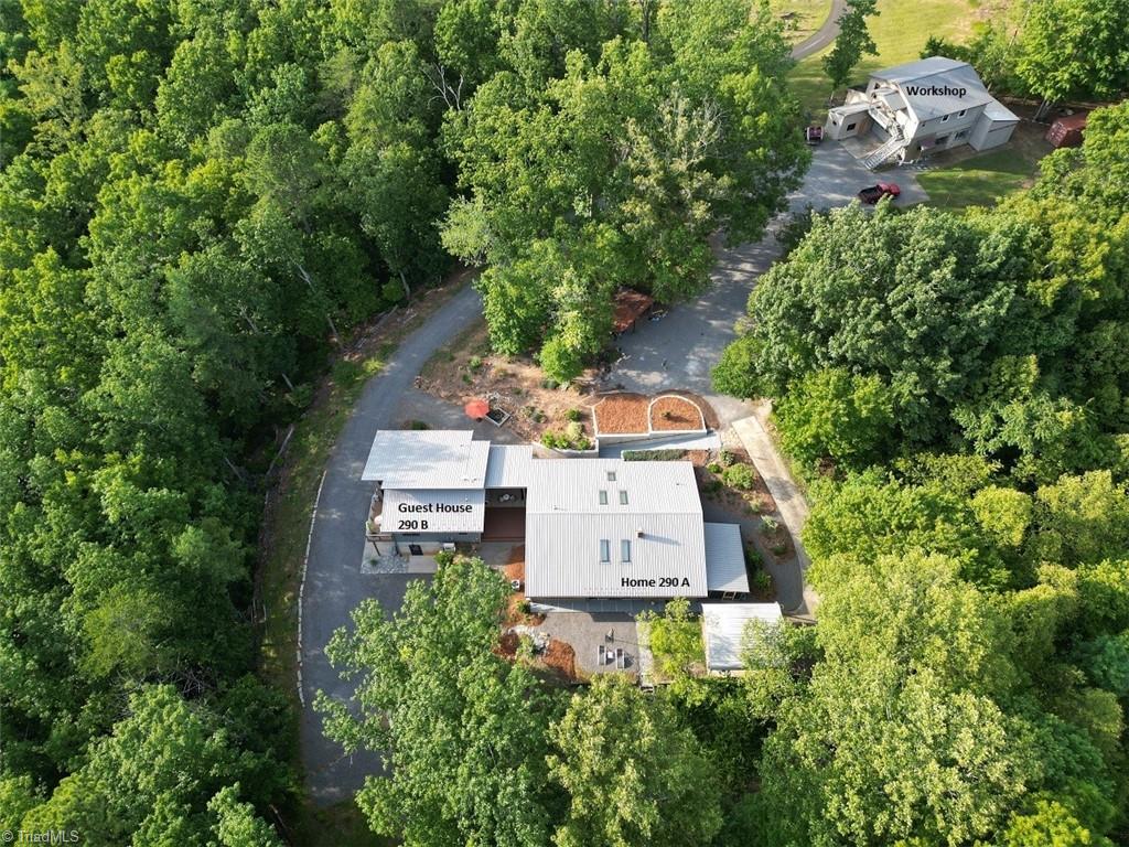 290 Big Dan Lake Drive Property Photo 2