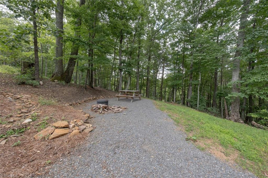 290 Big Dan Lake Drive Property Photo 42