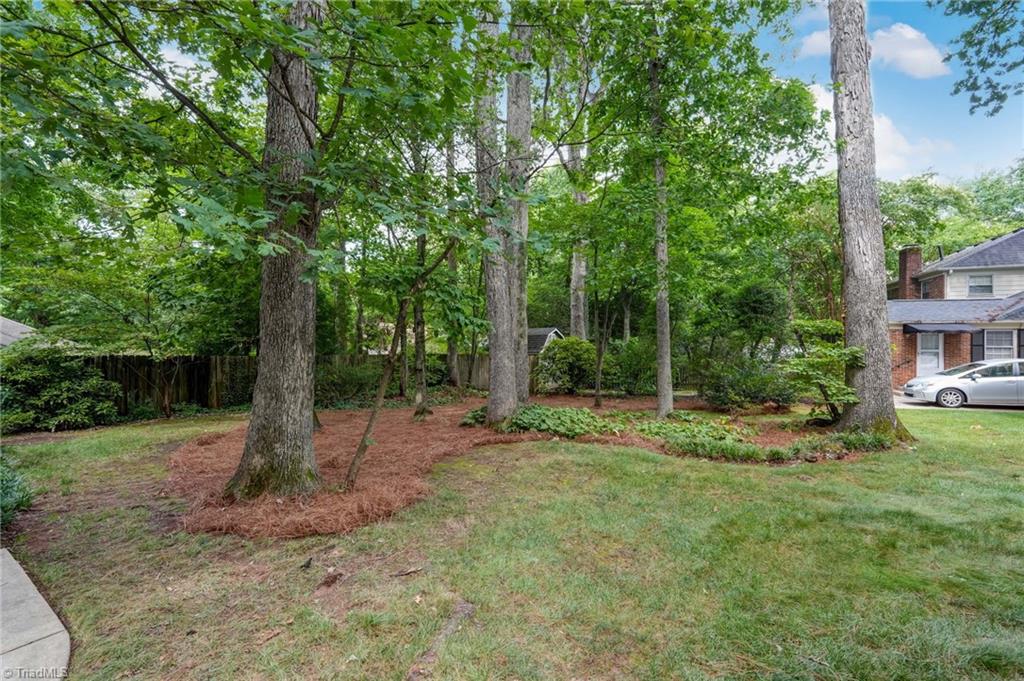1809 Swannanoa Drive Property Photo 27