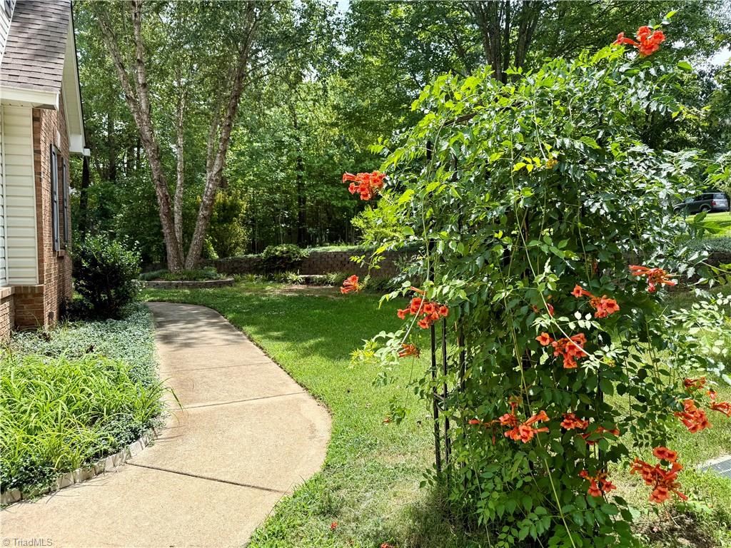 8602 Winding Hill Drive Property Photo 4