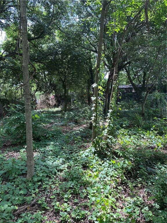 499 Leonard Road Property Photo 4