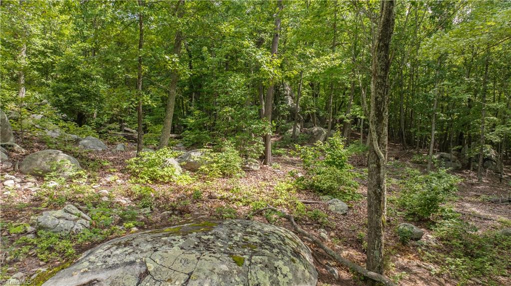 2717 Nc Highway 49 S Property Photo 38