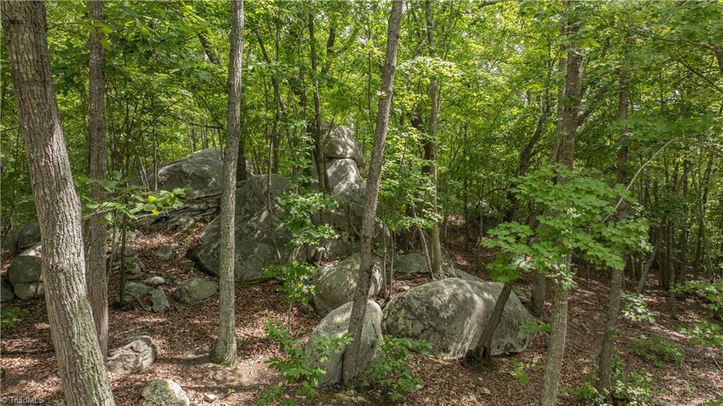 2717 Nc Highway 49 S Property Photo 39