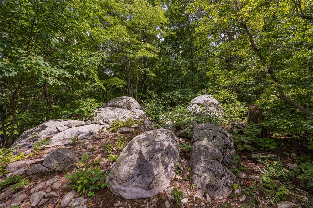 2717 Nc Highway 49 S Property Photo 42