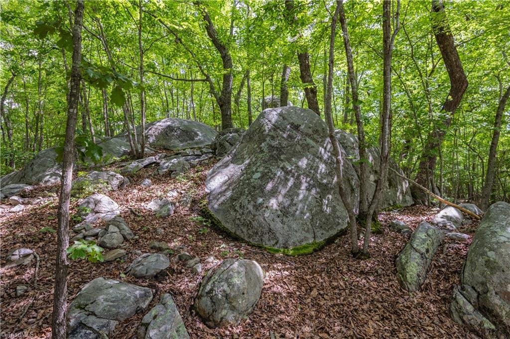 2717 Nc Highway 49 S Property Photo 43