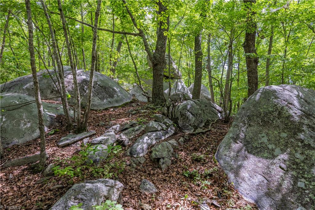 2717 Nc Highway 49 S Property Photo 44