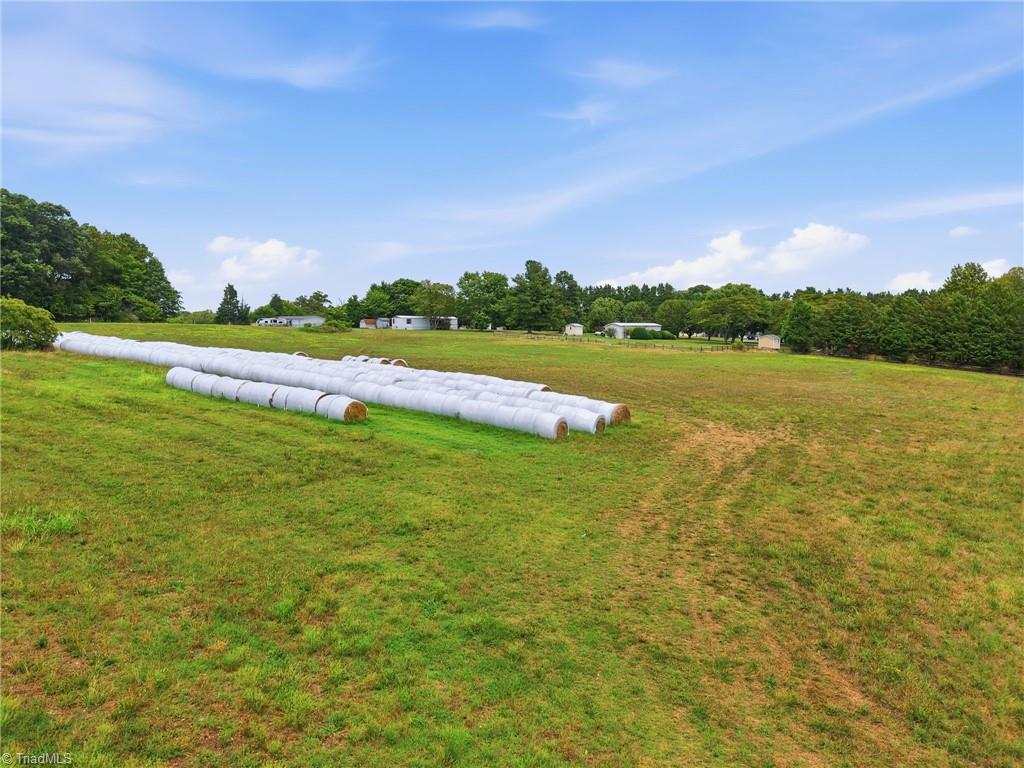 8046 Fogleman Road Property Photo 14