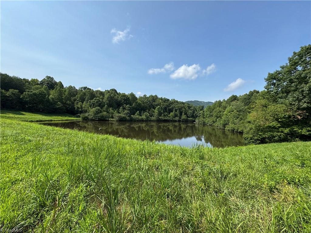 0 Edwards Farm Road Property Photo 2
