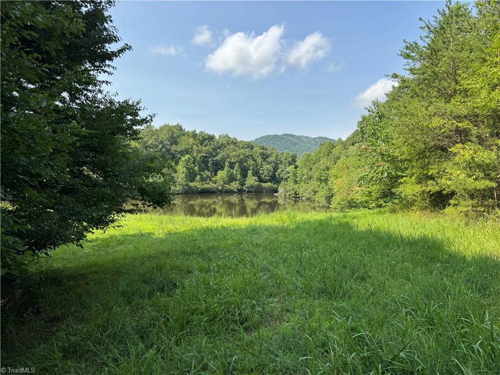 0 Edwards Farm Road Property Photo 3