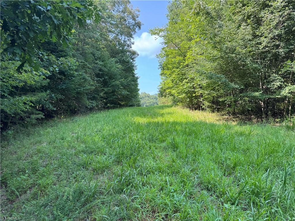 0 Edwards Farm Road Property Photo 4