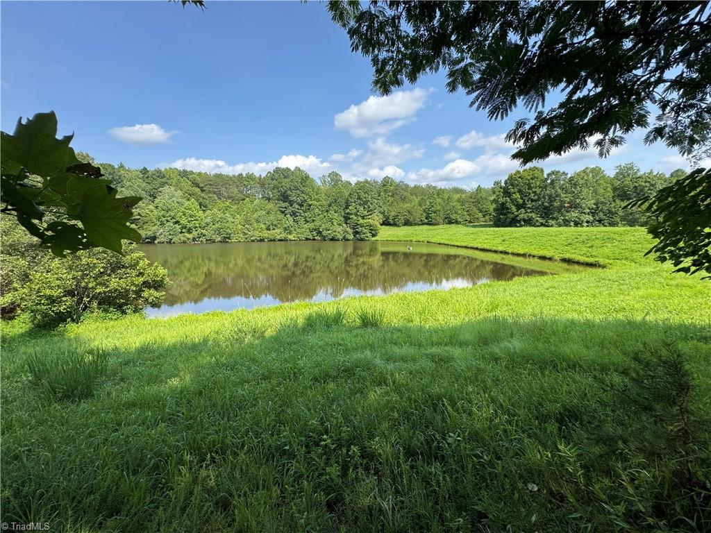 0 Edwards Farm Road Property Photo 5