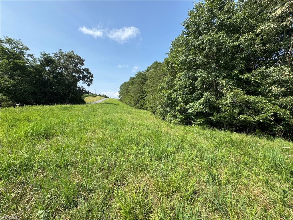 0 Edwards Farm Road Property Photo 8