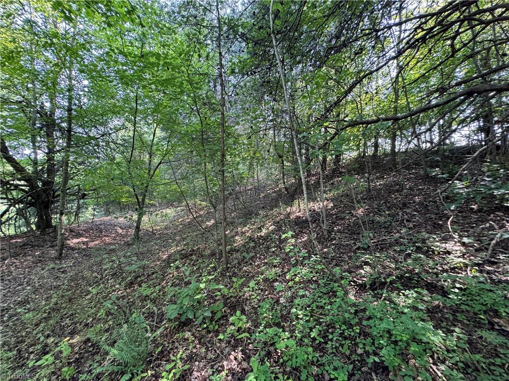 0 Edwards Farm Road Property Photo 9