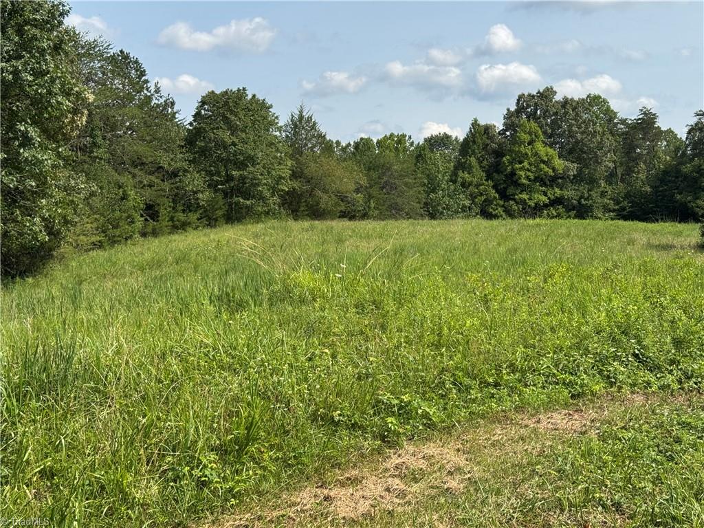 0 Edwards Farm Road Property Photo 13