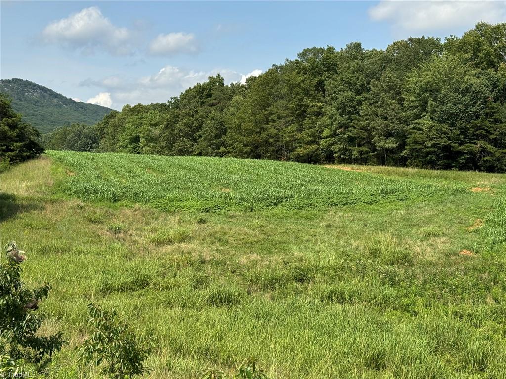 0 Edwards Farm Road Property Photo 14