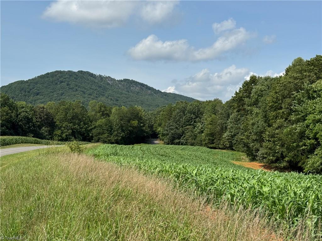 0 Edwards Farm Road Property Photo 15