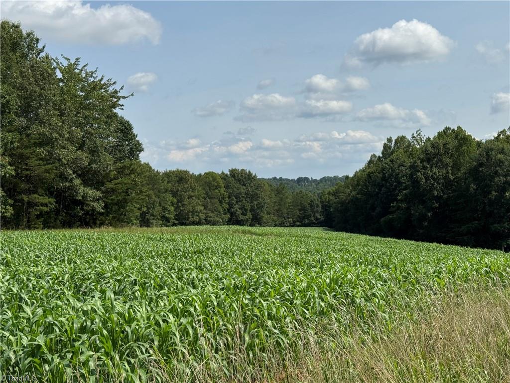 0 Edwards Farm Road Property Photo 16