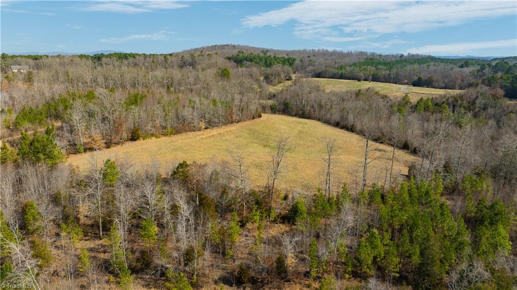 0 Nc Highway 49 S Property Photo 9
