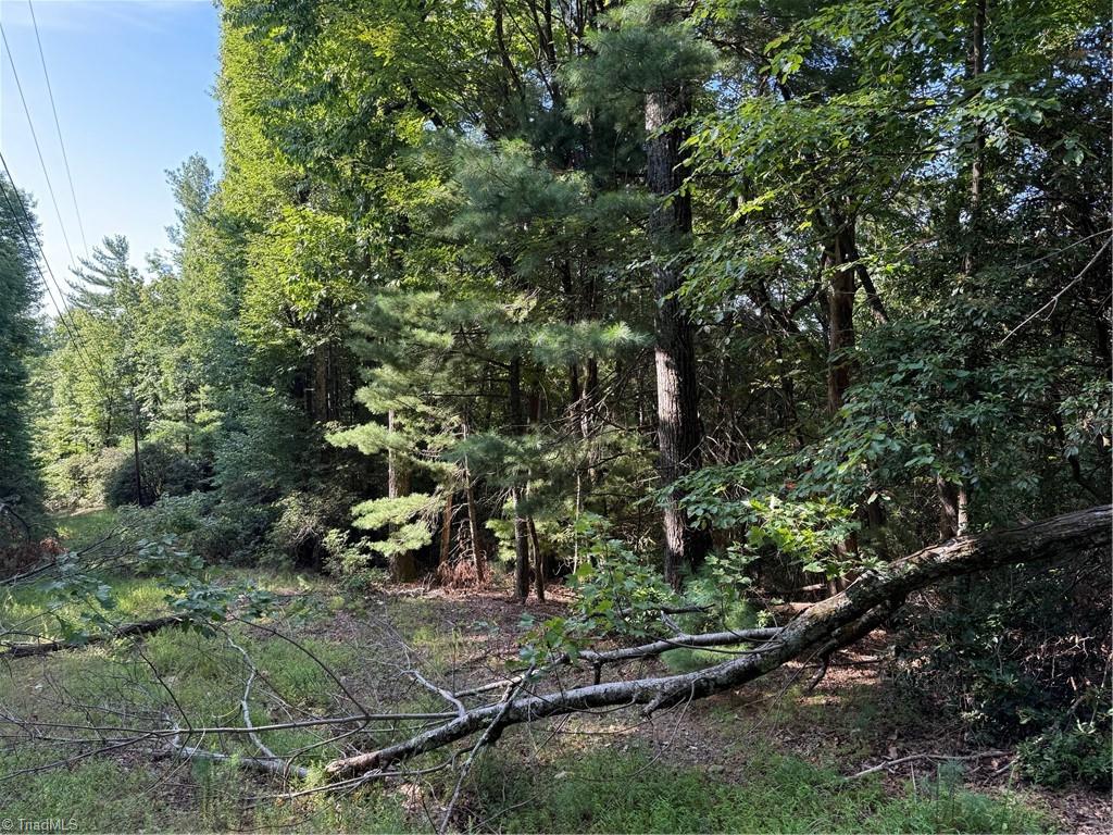 00 Timber Ridge Road Property Photo 1