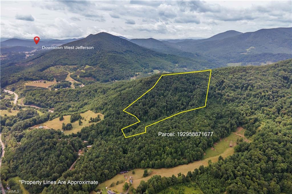 0 Tom Pless Road Property Photo 1
