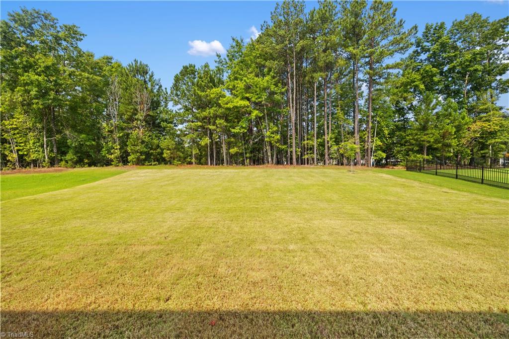 457 High Woods Ridge Property Photo 44