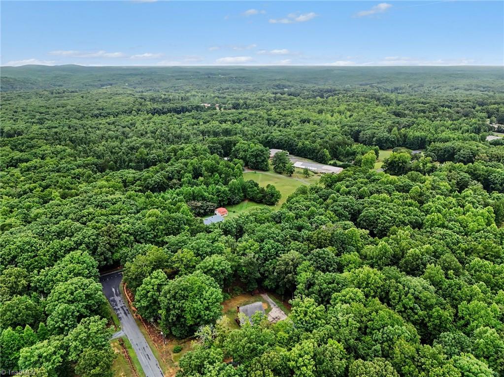4462 Ridges Mountain Trail Property Photo 33