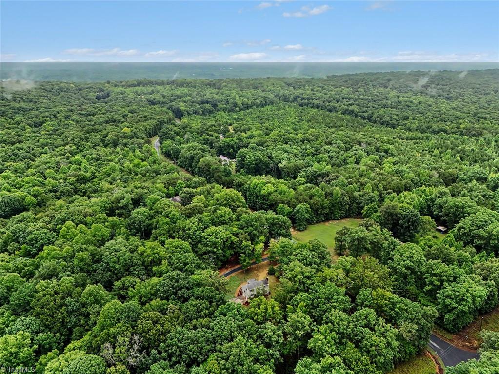 4462 Ridges Mountain Trail Property Photo 34