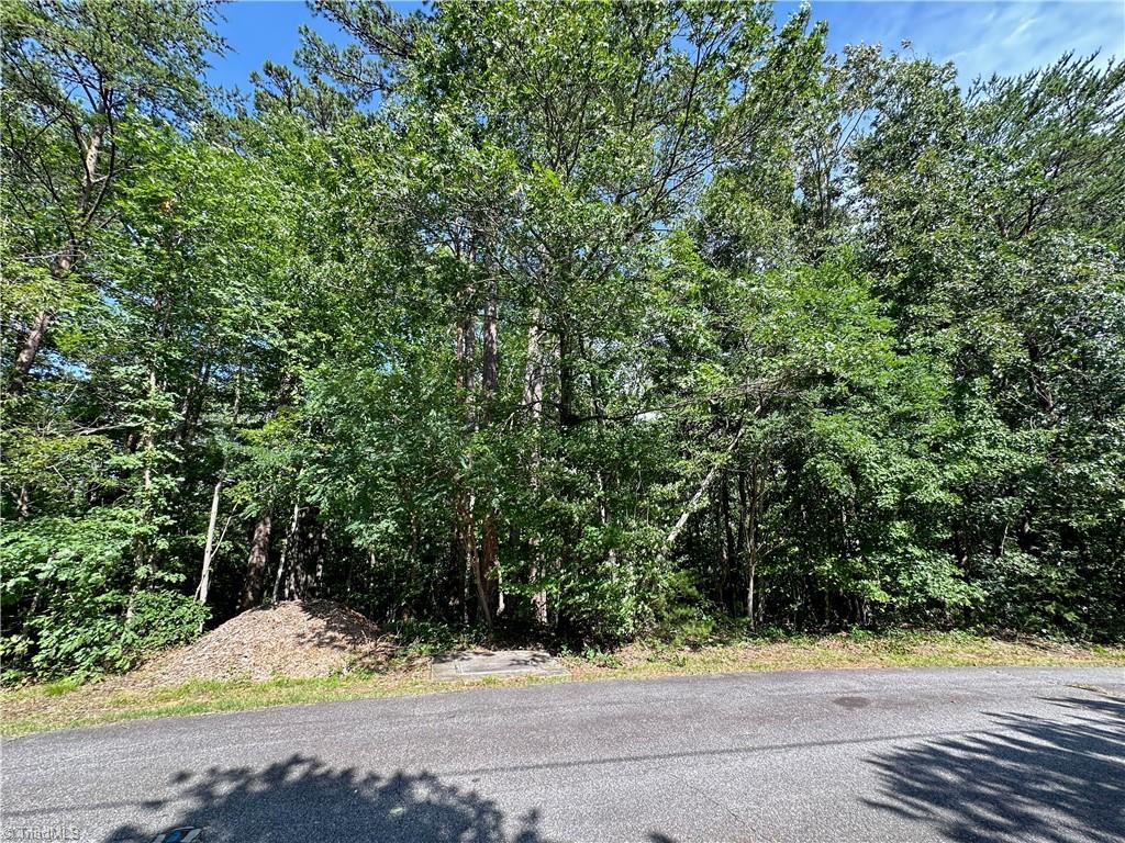 0 John Byrd Road Property Photo 1