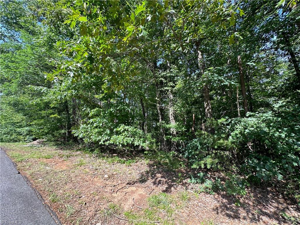 0 John Byrd Road Property Photo 2