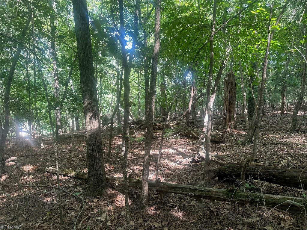 0 John Byrd Road Property Photo 3