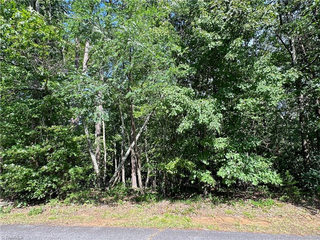 0 John Byrd Road Property Photo 4
