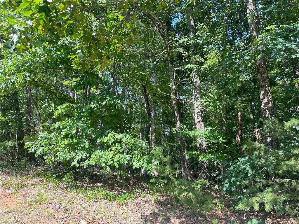 0 John Byrd Road Property Photo 5