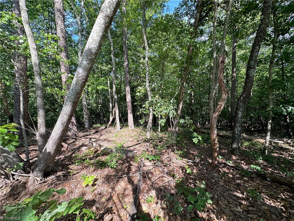 0 John Byrd Road Property Photo 6
