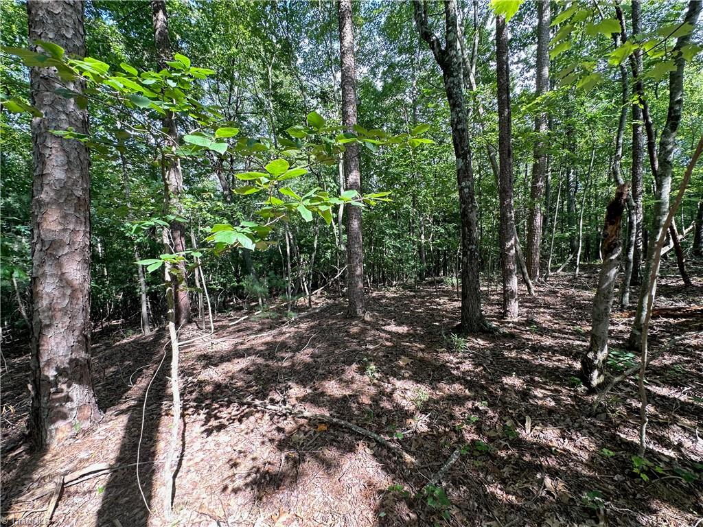 0 John Byrd Road Property Photo 7