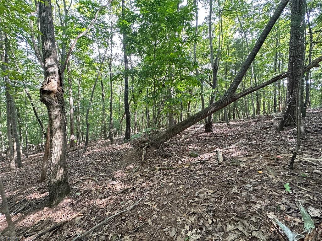 0 John Byrd Road Property Photo 8