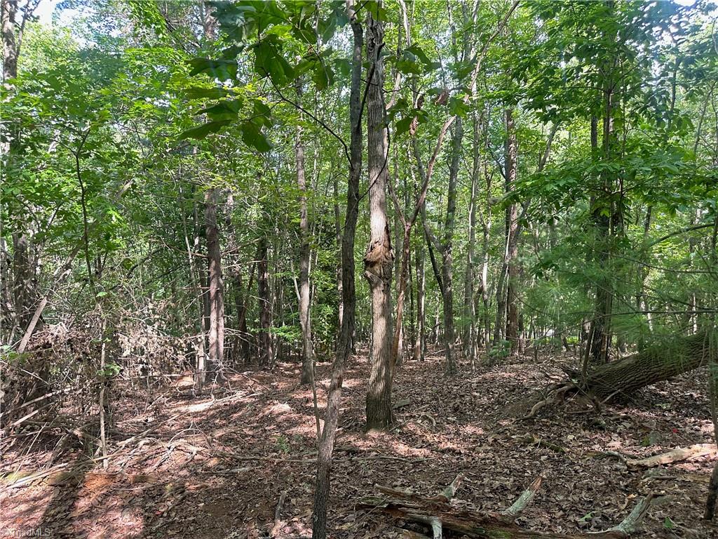 0 John Byrd Road Property Photo 9