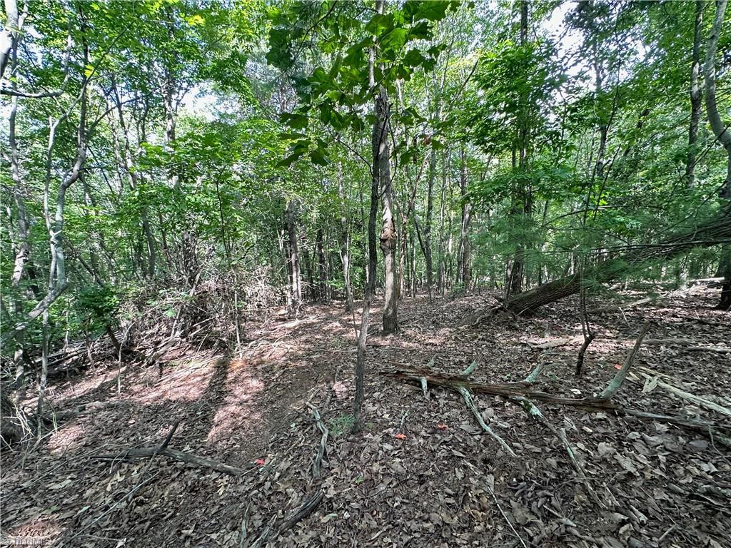 0 John Byrd Road Property Photo 10
