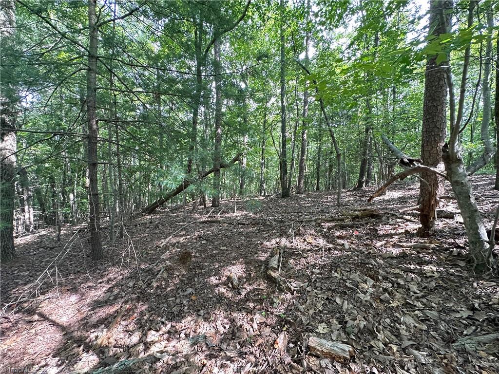 0 John Byrd Road Property Photo 11
