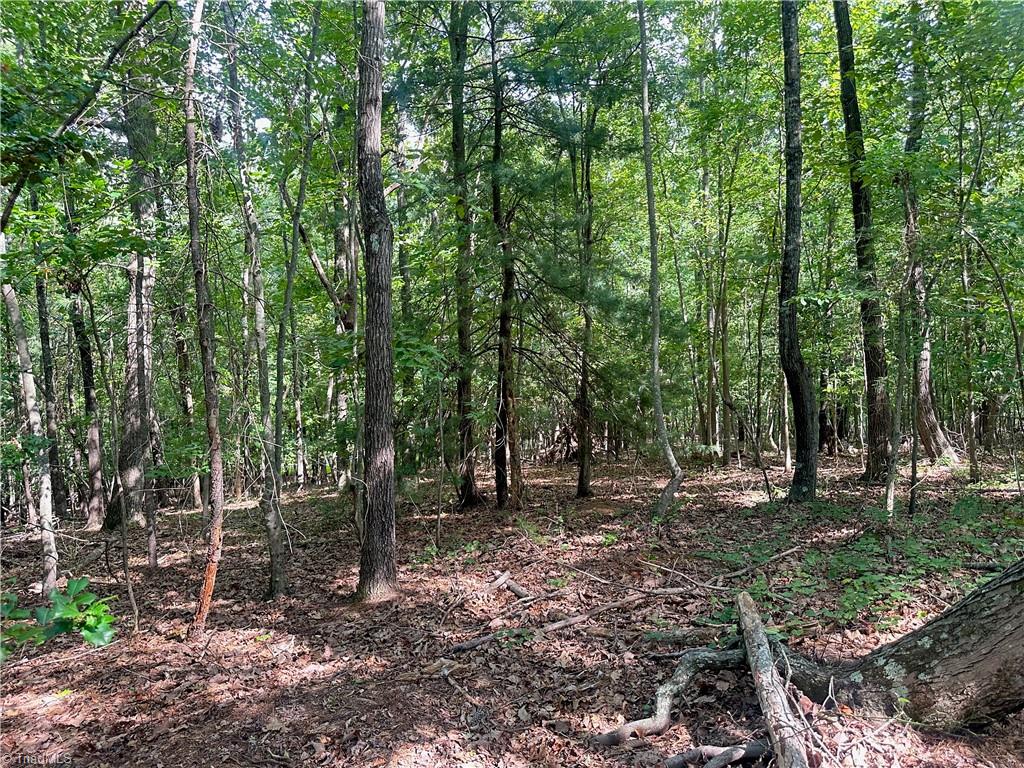 0 John Byrd Road Property Photo 12