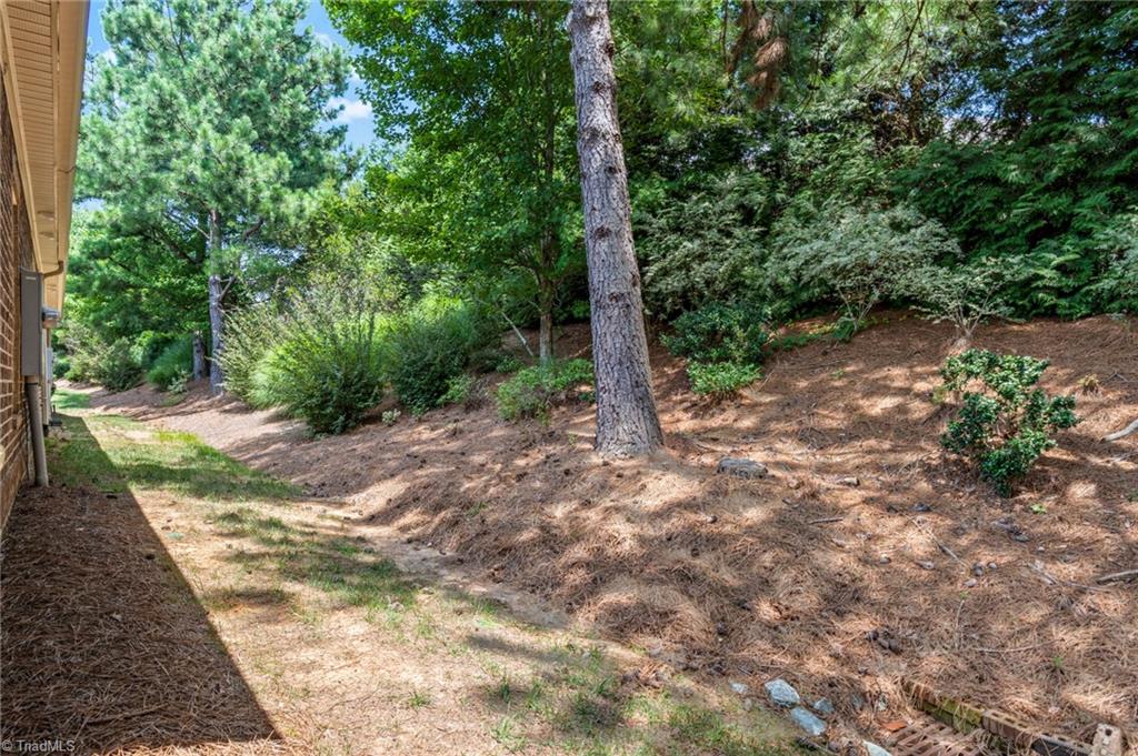 503 Friedberg Village Drive Property Photo 36